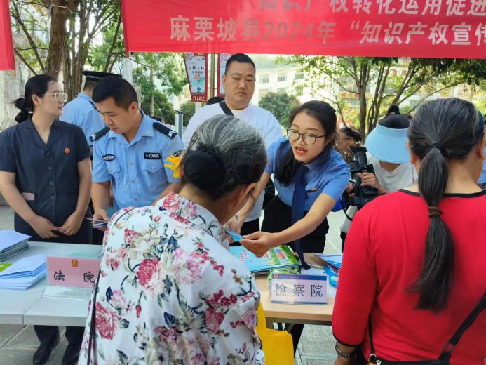 多举措并举齐发力，共同保护知识产权——知识产权服务在行动